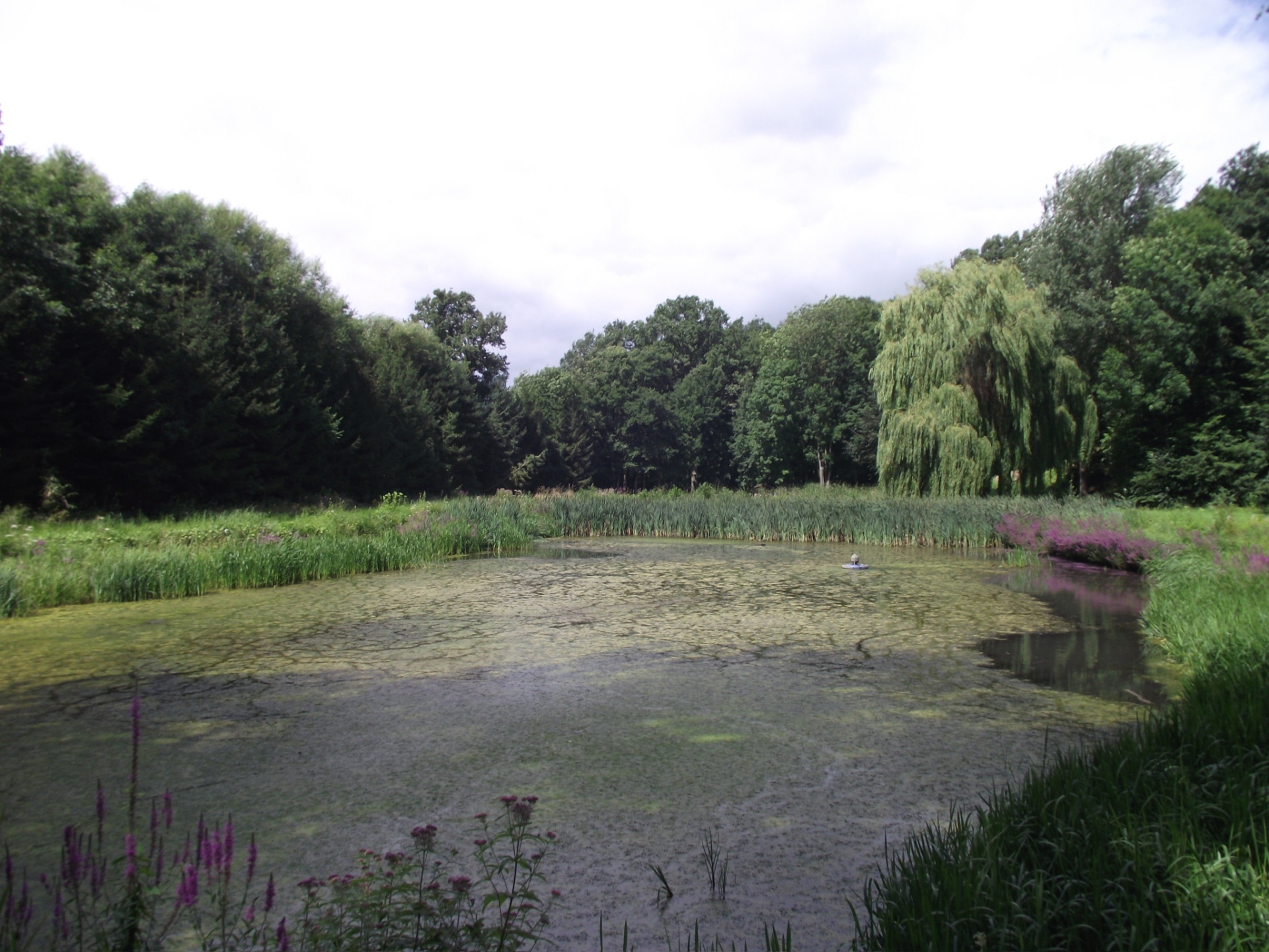 Site de Quiévrain — étang et environnement naturel