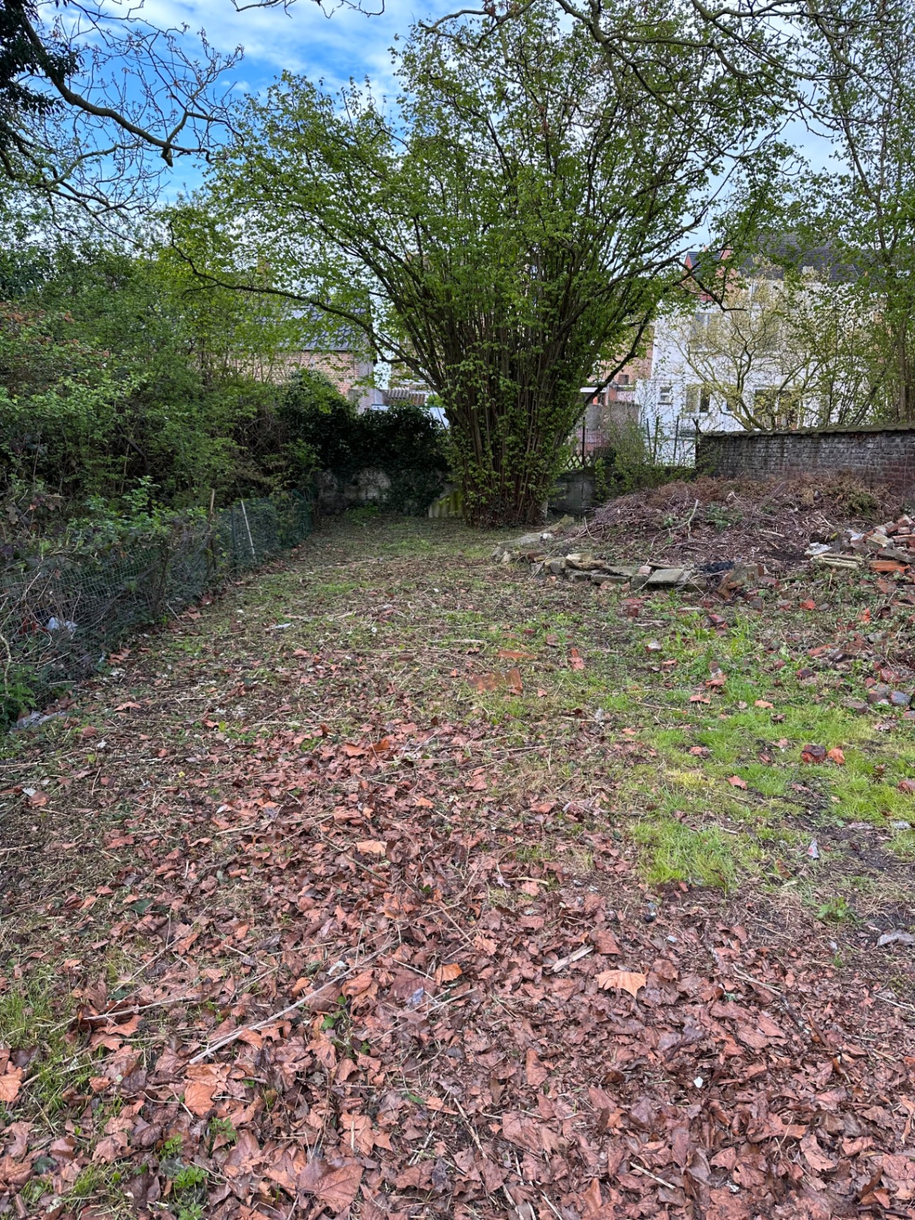 Studios de la Renaissance — jardin arboré